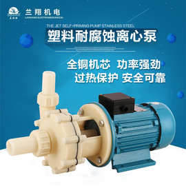FS型塑料耐腐蚀离心泵硫酸盐酸化工防腐泵铜线电机耐酸泵高效化工