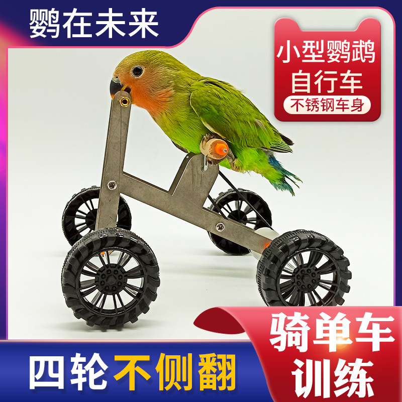 Parrot Toy Training Bicycle Bird Training Supplies Props Bicycle Xuanfeng Little Sun Monk Golden Sun Bicycle
