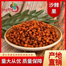 现货批发沙棘 沙棘果干果 质量保障量大从优产地直销