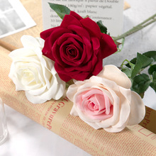 �S�����l���滨��֧���õõ��  ��c�Y�����k�b� �ҾӼٻ�