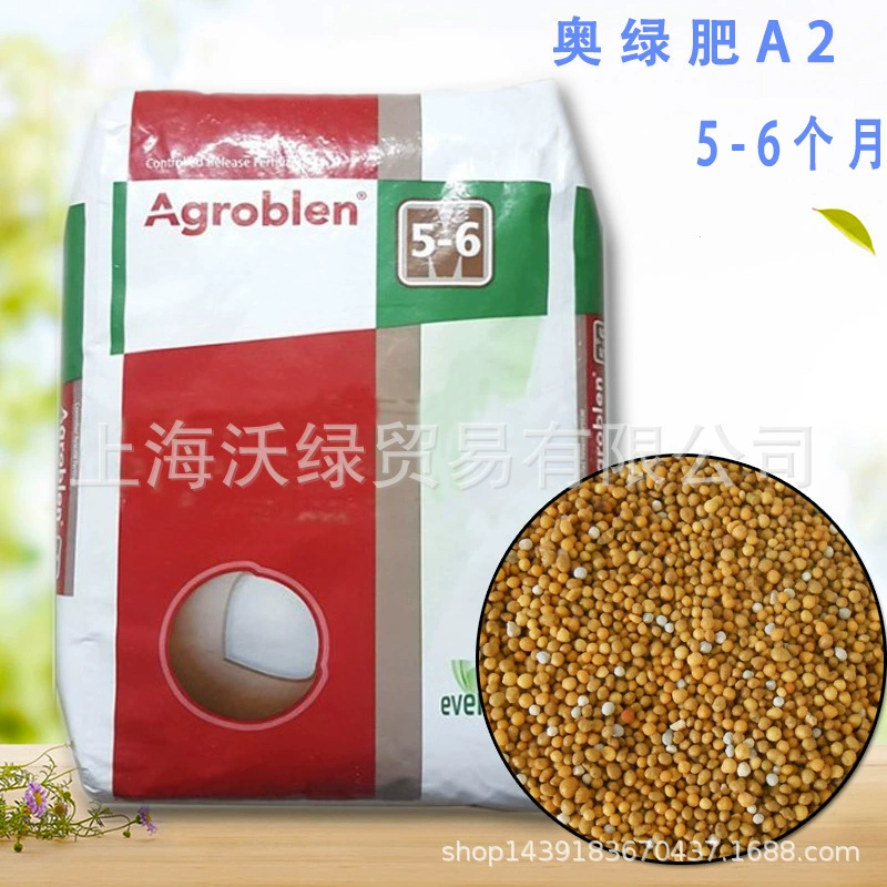 Суккулентное растение Aolü Fei A2 9--14-19, 1 кг