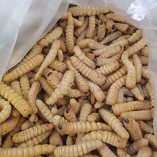 ���l�����Ƀ��������x ľ�x ľ��   ����خaʳ�����x  ��������