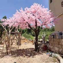 ���Ʋ���䓷���ѻ��� ����b��^���͘� �^��t��ϲ�c�һ���