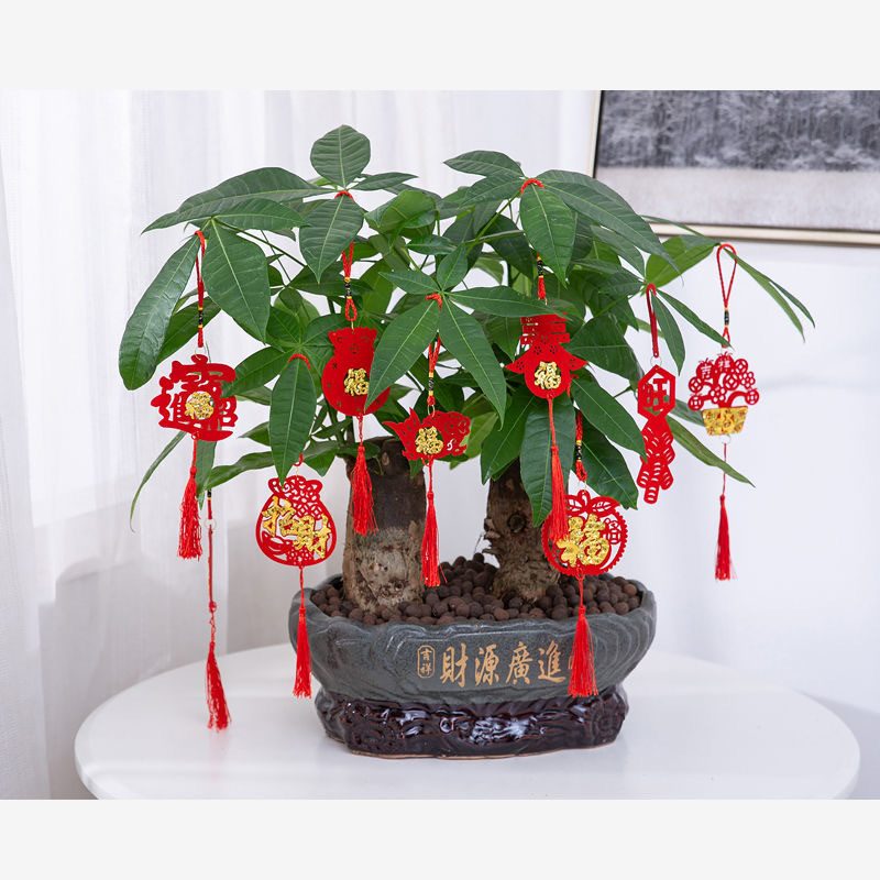 跨境春节元旦室内外发财树植物盆景挂饰毛毡小红灯笼挂件过年装饰