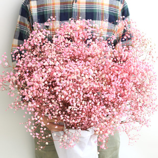 �����M�����������l��ɫ����˹�廨DIY���Ļ�c�b���ϏS��ֱ��