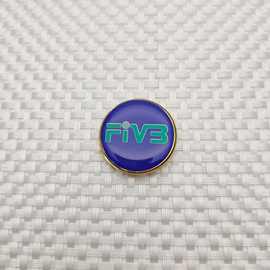 专业厂家生产 汽车logo车身标牌 金属滴塑标牌