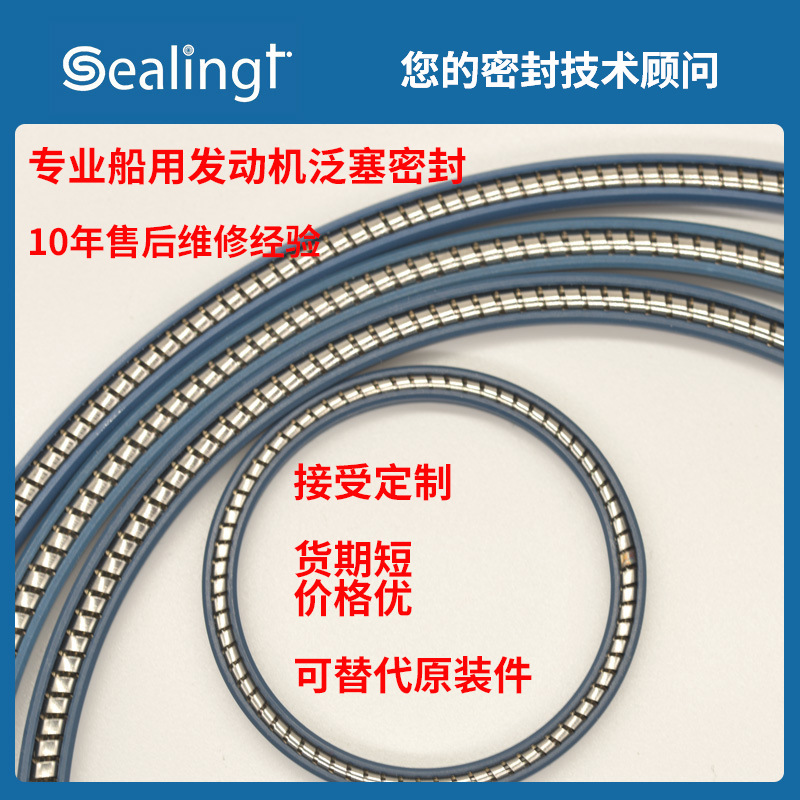 Sealingt船舶液压化工阀密封圈油缸用耐高温聚四氟乙烯耐泛塞封