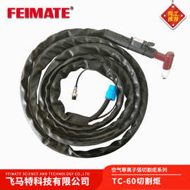 FEIMATE 5米切割炬 空气等离子切割炬同昌TC60等离焊枪