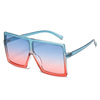 Trend glasses, fashionable multicoloured sunglasses, European style, plus size