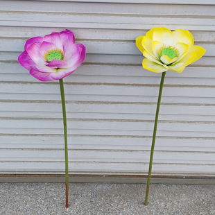 �a��؛Դ ���쎧�U�ɻ�����ˮ�����b�ܛ�b�ٻ� �ָ��^�z������~