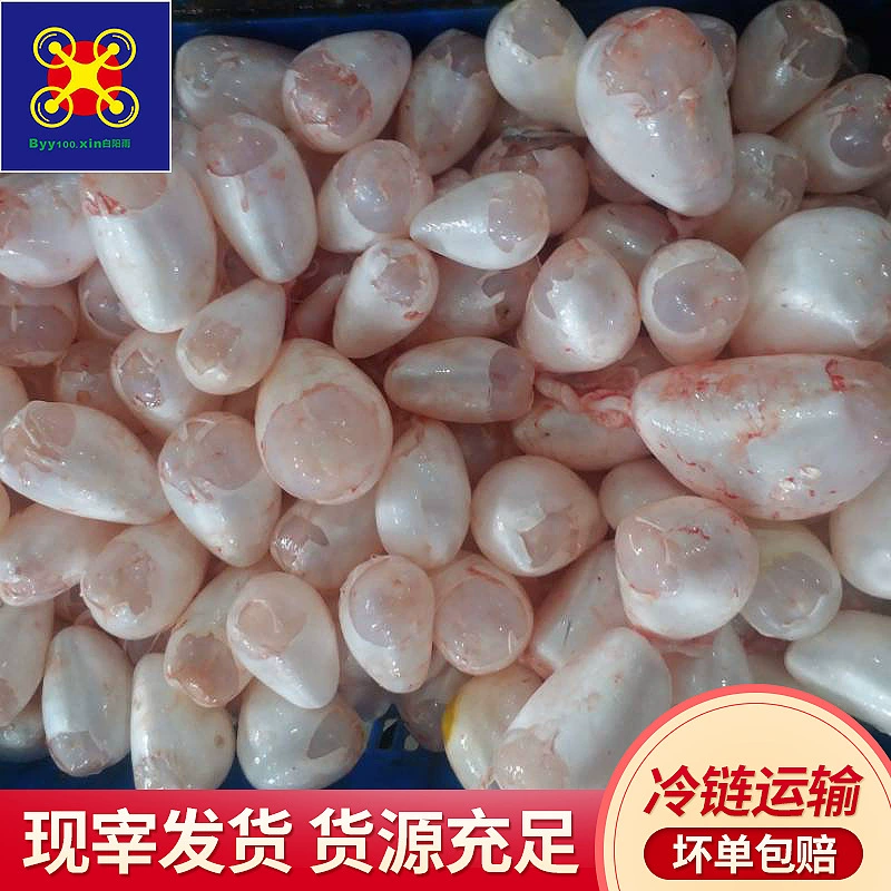 Baiyangyu Серебряный Карп рыбный пузырь Прохладный рыбный пузырь Охлажденная упаковка свежая замороженная рыба пузырь оптом