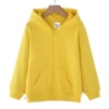 Yellow jacket