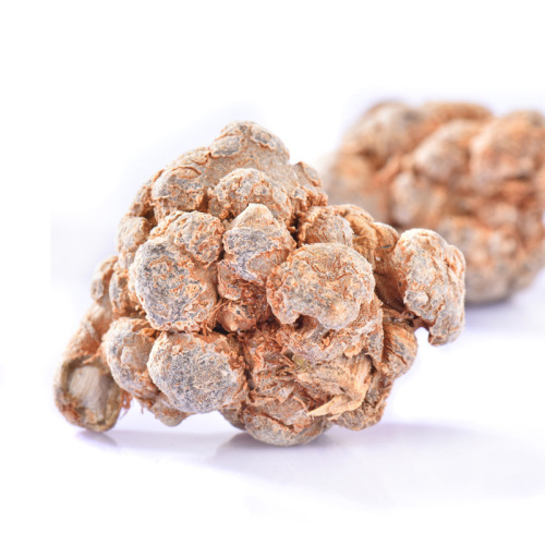 Yunnan Wenshan Panax notoginseng Wholesale from place of origin Panax notoginseng powder Street stall Chinese medicinal materials Panax notoginseng Foot dried Panax notoginseng head