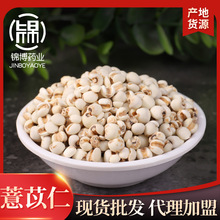 薏苡仁五谷杂粮大薏米仁煲汤散装批发承接大货从优薏仁米高纤养生