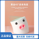 Керамическая чаша для свиньи Pan