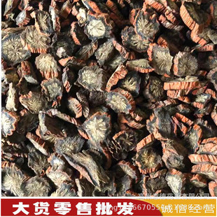 ���l ������ ���� ������  �t�� ��t�� Ѫ����