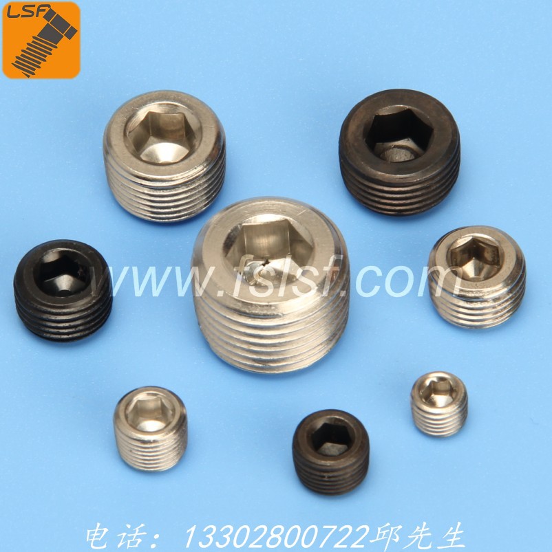 厂家供应公制喉塞,PG,PT,NPT，英制美制不锈钢喉塞1/8