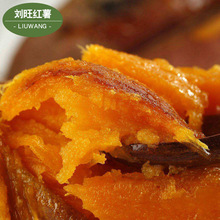 tܛŴ𿾵عϷNֲعɽɏtl