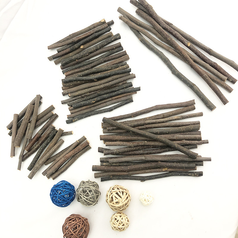 Apple Branch Pet Molar Stick Hamster Guinea Pig Guinea Pig Rabbit Chinchilla Chewing Wood Dry Branch Artificial Plant