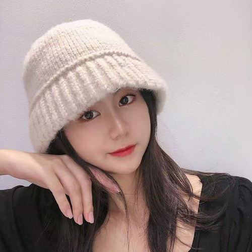 Hat Women's Woolen Fisherman Hat Autumn and Winter Korean Version Versatile Korean Dongdaemun Same Fashion Casual Warm Knitted Hat