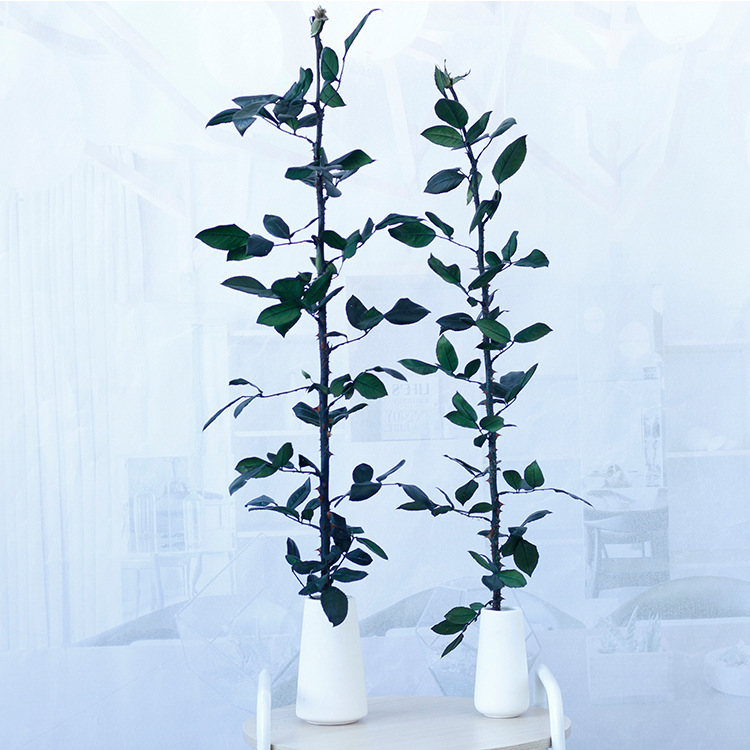 Regalo de cumpleaños del Día de San Valentín DIY material flor eterna Rosa rama sola flor Rosa varilla arreglo floral al por mayor