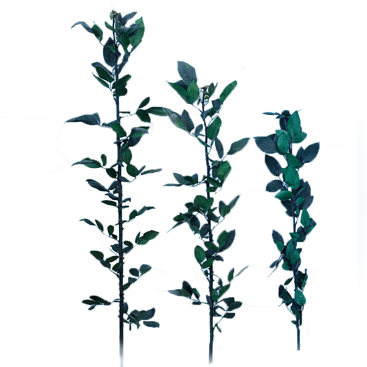 Regalo de cumpleaños del Día de San Valentín DIY material flor eterna Rosa rama sola flor Rosa varilla arreglo floral al por mayor