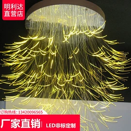 工艺装饰灯具;景观灯;光源器