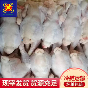 �����Bֳ45�����S�u����1.6-3.6���u�������F���m������\�I�u��
