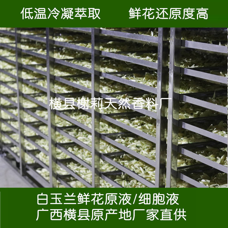 25-Year-Old Magnolia Cell Sap Fresh Flower Essence, Low-Temperature Condensation, Non-White Orchid Hydrosol, Guangxi Hengxian 1000ml 25-Year-Old Magnolia Cell Sap Fresh Flower Essence, Low-Temperature Condensation, Non-White Orchid Hydrosol, Guangxi Hengxian 1000ml