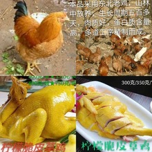 ���l��˺��Ƥ ���u��ζ�r�� �ߵ��u 750g����b�b��ʳ�S��