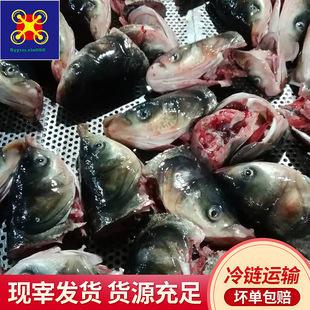 �������~�^�I�~�~�^���~�^���r����F���~�^�������