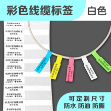 P型网线线缆标签纸 机房网络终端 电线标贴 84*26*500电缆标签