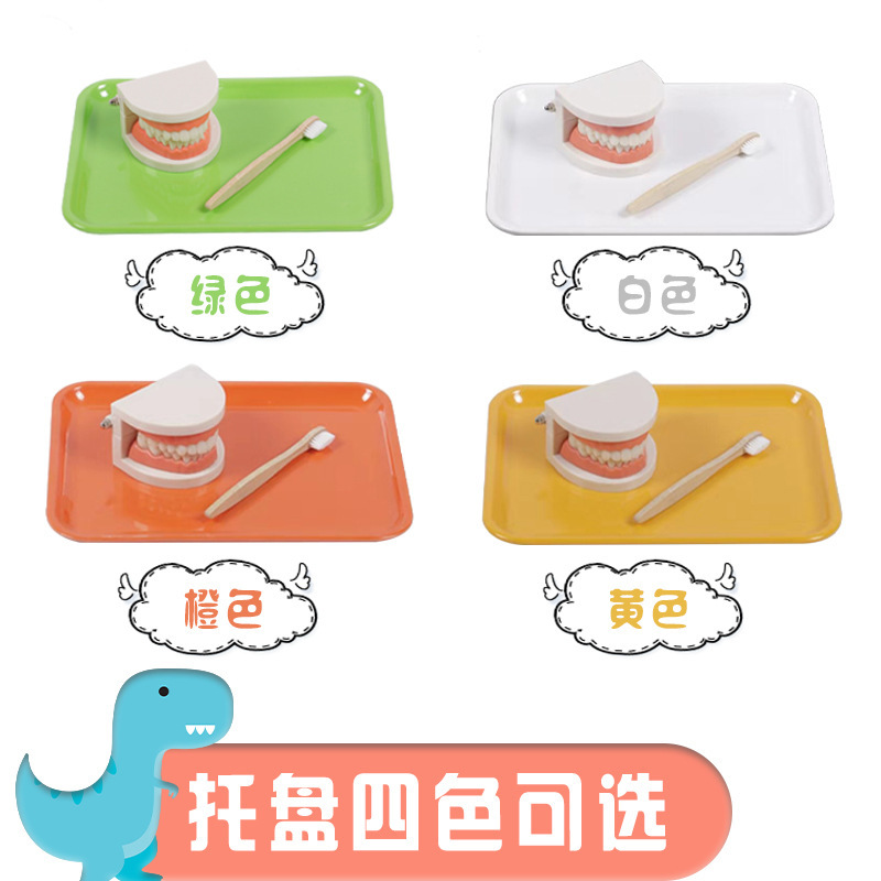 Montessori ayudas didácticas niños cepillado y lavado traje educación temprana juguetes educativos dentadura diente modelo kindergarten dientes cognitivos