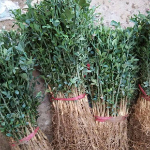 ͥԺ�oԺ���̻���ֲ���ך����F�h����������G�h���̾G������