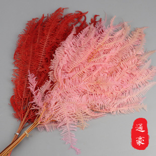 ����âݽ�~��ݽâ�~ ��ɫ���r���������� �����ָ���ƿ���~���