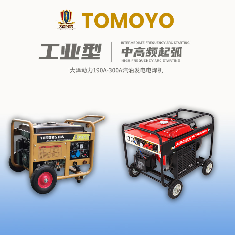 大泽动力汽油发电电焊机230A TOTO230AS中频两用一体焊机集中竞价
