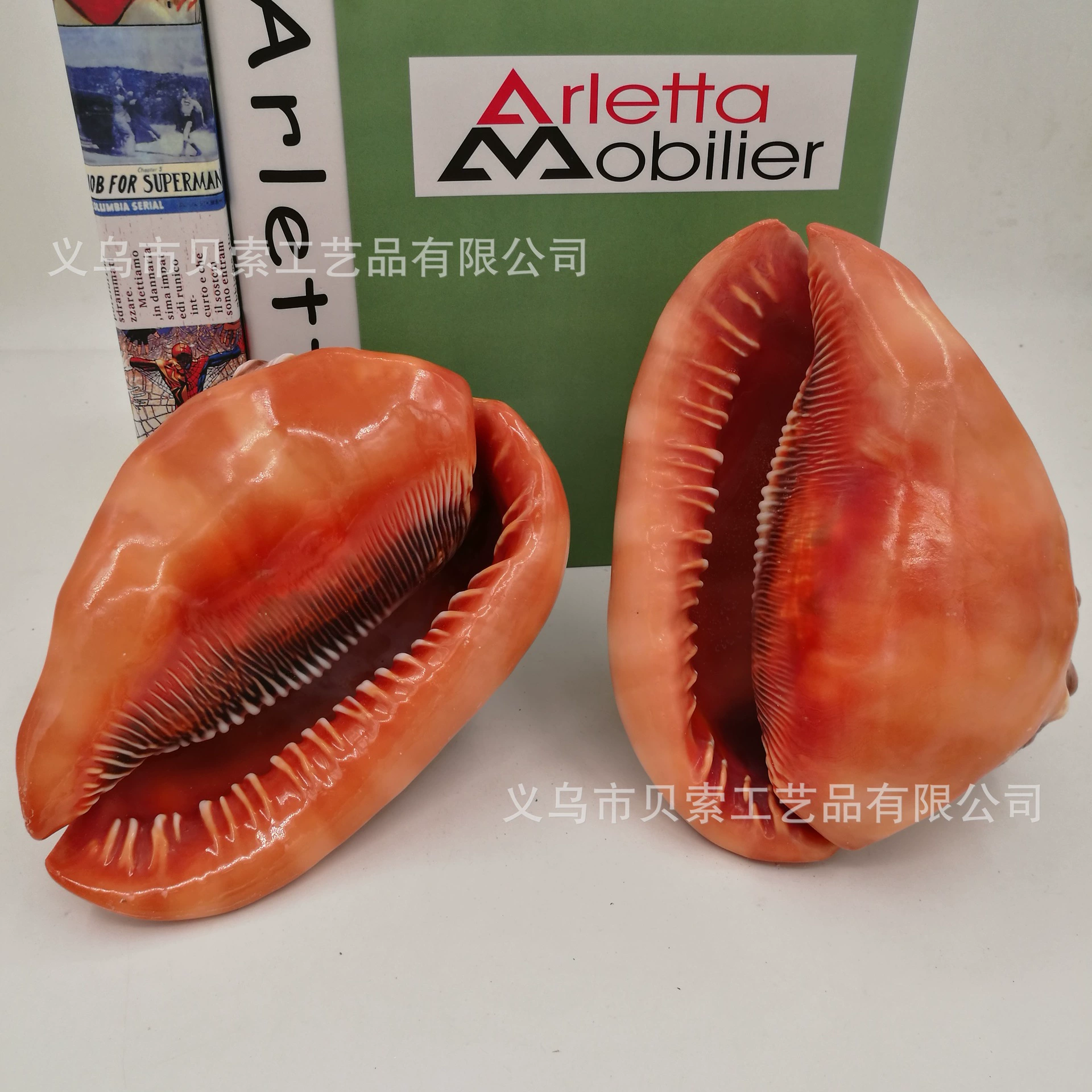 Study natural shell Conchihashi Fish Tank Landscape Decoration Shell Conch Wholesale Wind Bell DIY Crafts