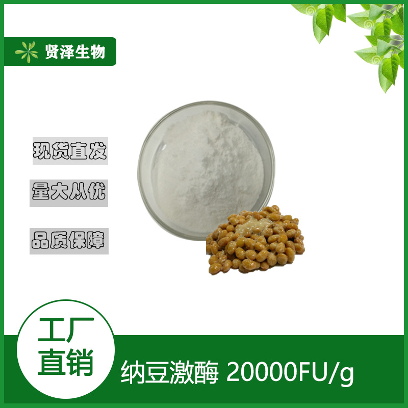 纳豆激酶 20000FU/g 纳豆提取物 纳豆发酵来源  100克/袋起  现货