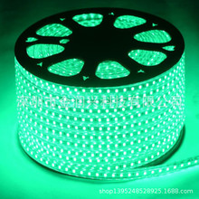 5050�߉�����led��  220Vܛ���l14.4W 60�w������ˮ�����
