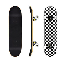 31ľskateboardֻרҵѧ߹·˫3108