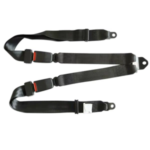 Bus, bus, two-point safety belt, one-on-two safety belt, one-on-two safety belt, car safety belt