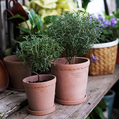 Nordic creative personality breathable flower pot desktop plant pot balcony simple pot pottery pot manufacturer wholesale