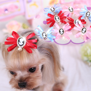��MKO �~ޢ�������^� ̩�ϼs���Ĺ����W荻ʹڽz���l�A�Ʒ