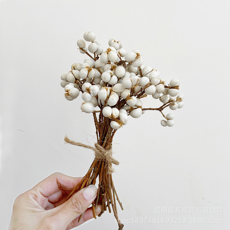 [30g petite cravate petit fruit blanc] Style nordique petits fruits blancs fruits en bois emballés individuellement décorations pastorales