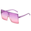 Trend glasses, fashionable multicoloured sunglasses, European style, plus size