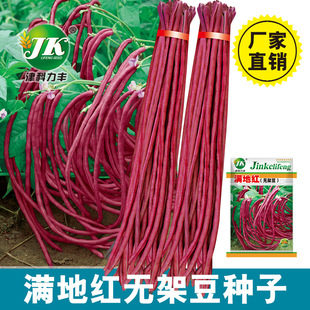 �M�ؼt�o�ܶ��N�Ӽtɫ������L���ǷN�����¼t���Բˈ@�ļ��׷N