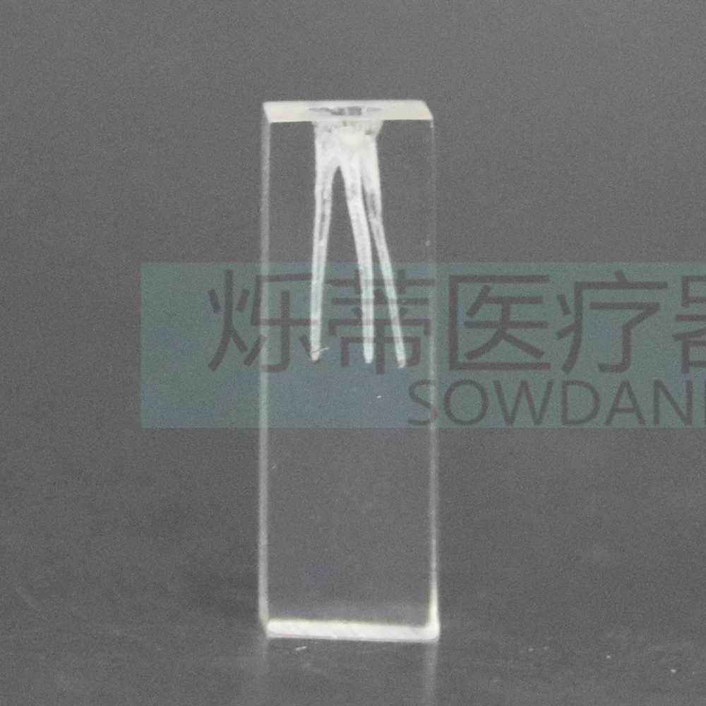 牙科根管模型练习操作扩大锉模型教学齿科口腔透明亚克力厂家批发