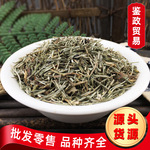 批发木贼草散装小木贼 产地货源木贼草新货节节草 问荆草D