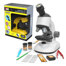 ���l1100С�̓�ͯ�W�����ù�W�@΢�R���ǿƌW���1200������߱�