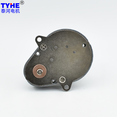 TJP65FH Permanent Magnet Micro DC Reducer Valve Flow Meter Gear Reducer Motor 65mm Customizable